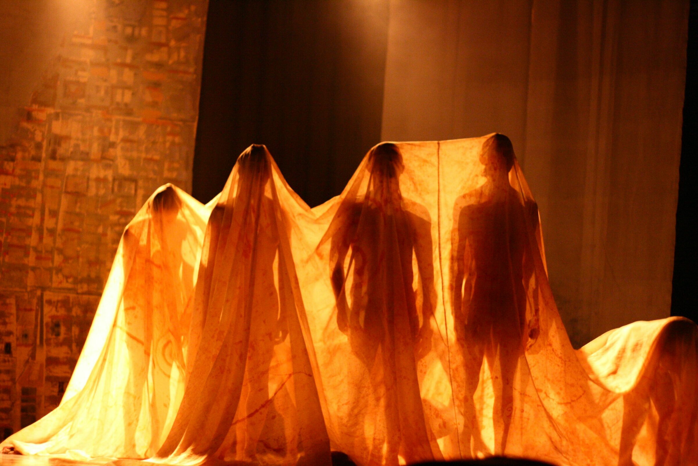 Foto de Luiz Aureo Fotografia 17