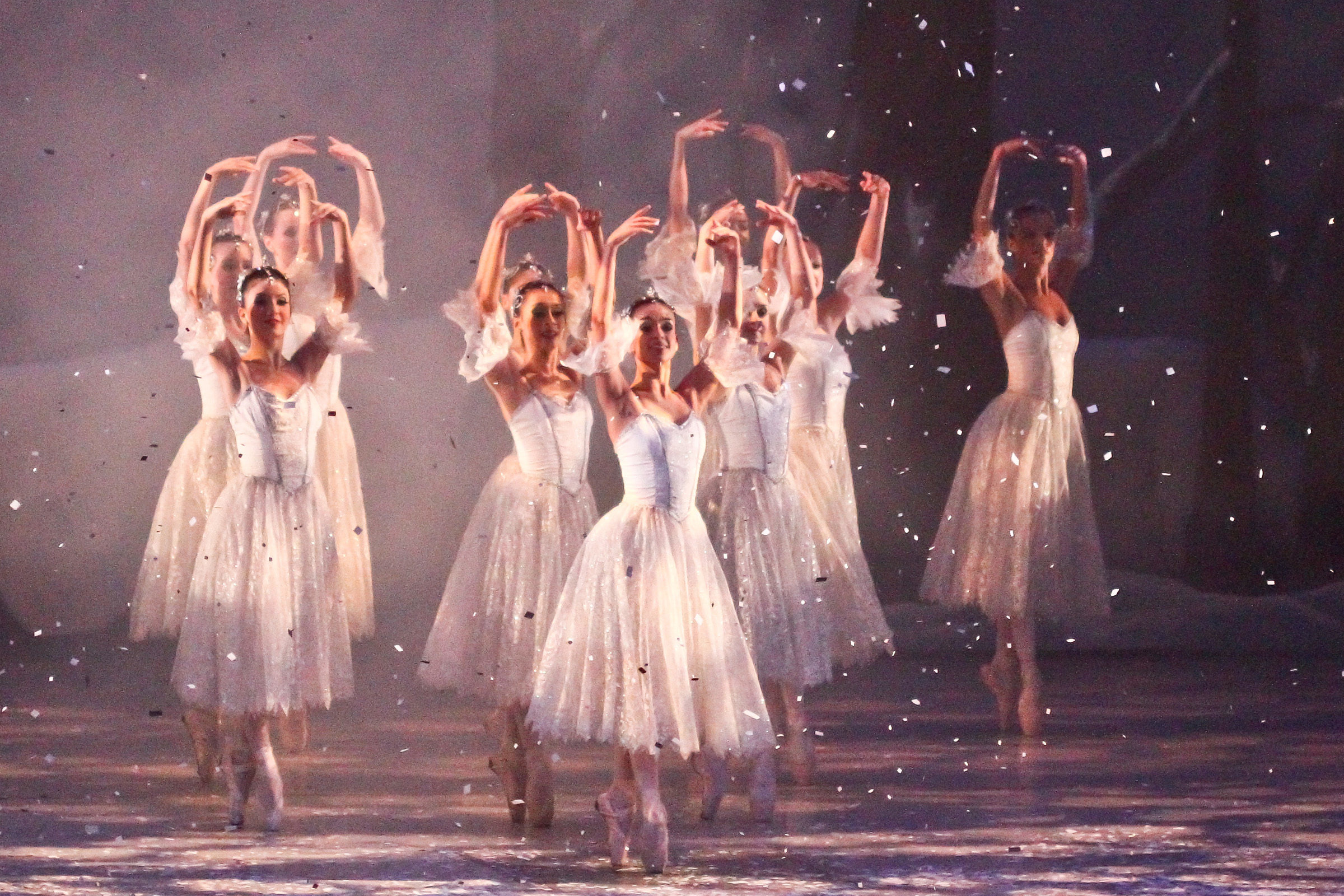 Foto de Luiz Aureo Fotografia 21