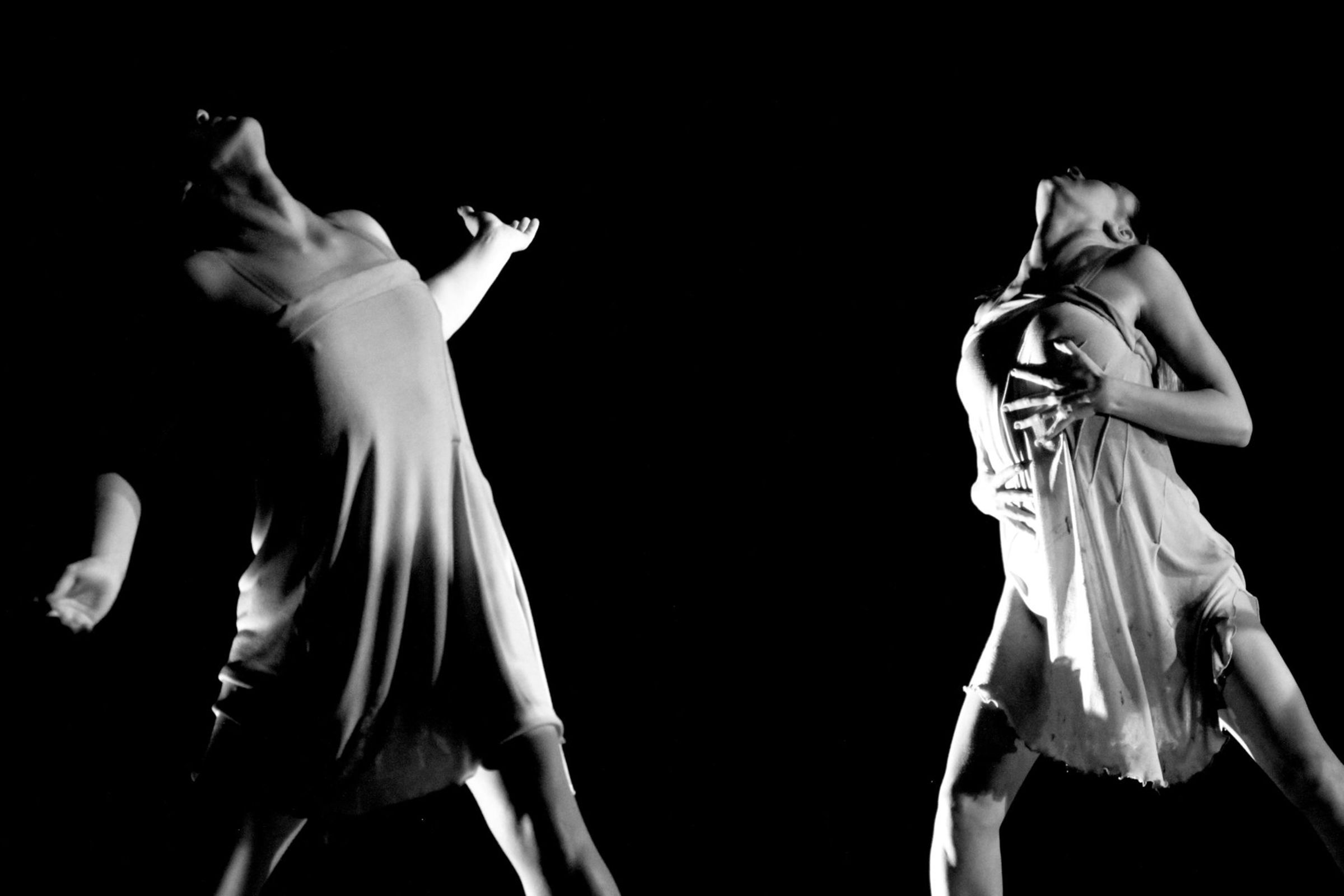 Foto de Luiz Aureo Fotografia 7