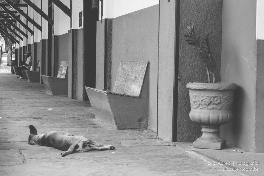 Foto Diário de Bordo - Minha breve passagem por Muqui-ES - Imagem 29