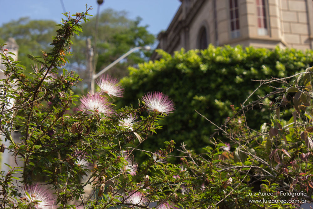 Foto Diário de Bordo - Minha breve passagem por Muqui-ES - Imagem 32