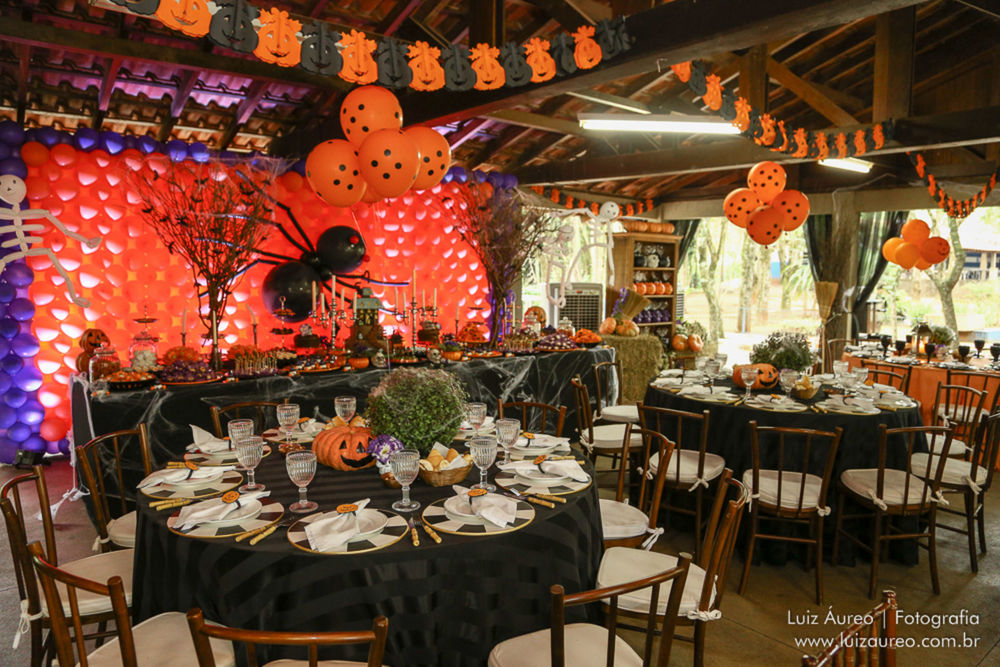 Foto Aniversário João Pedro e Mateus - Imagem 9