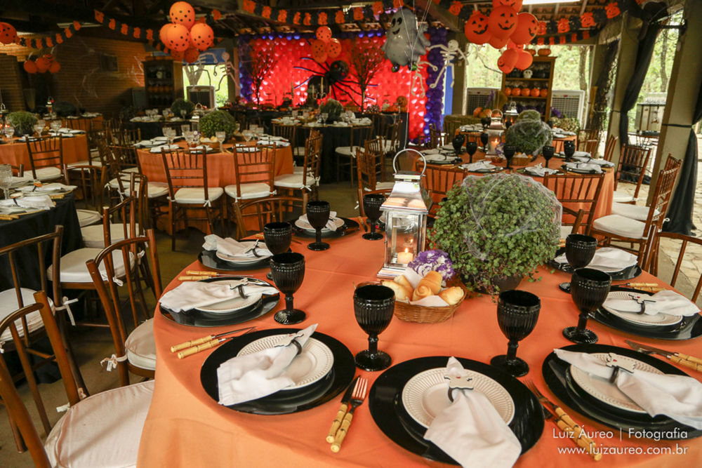 Foto Aniversário João Pedro e Mateus - Imagem 12