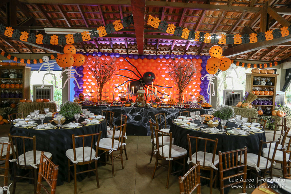 Foto Aniversário João Pedro e Mateus - Imagem 30