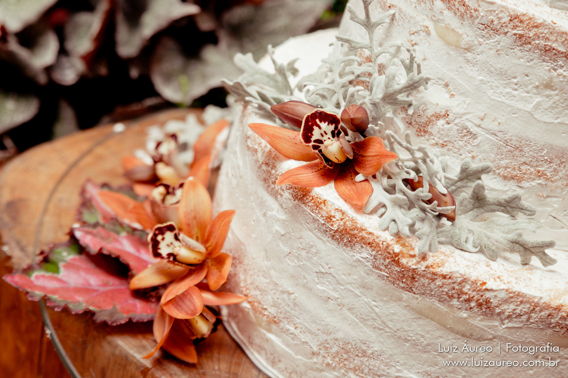 Foto Gillia e Thais - Casamento - Imagem 21