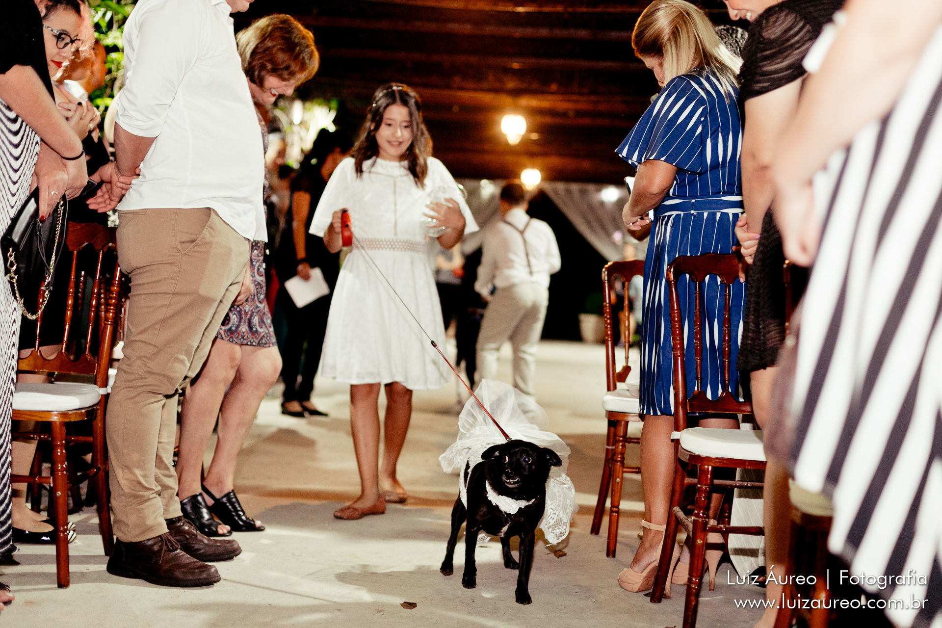 Foto Gillia e Thais - Casamento - Imagem 38