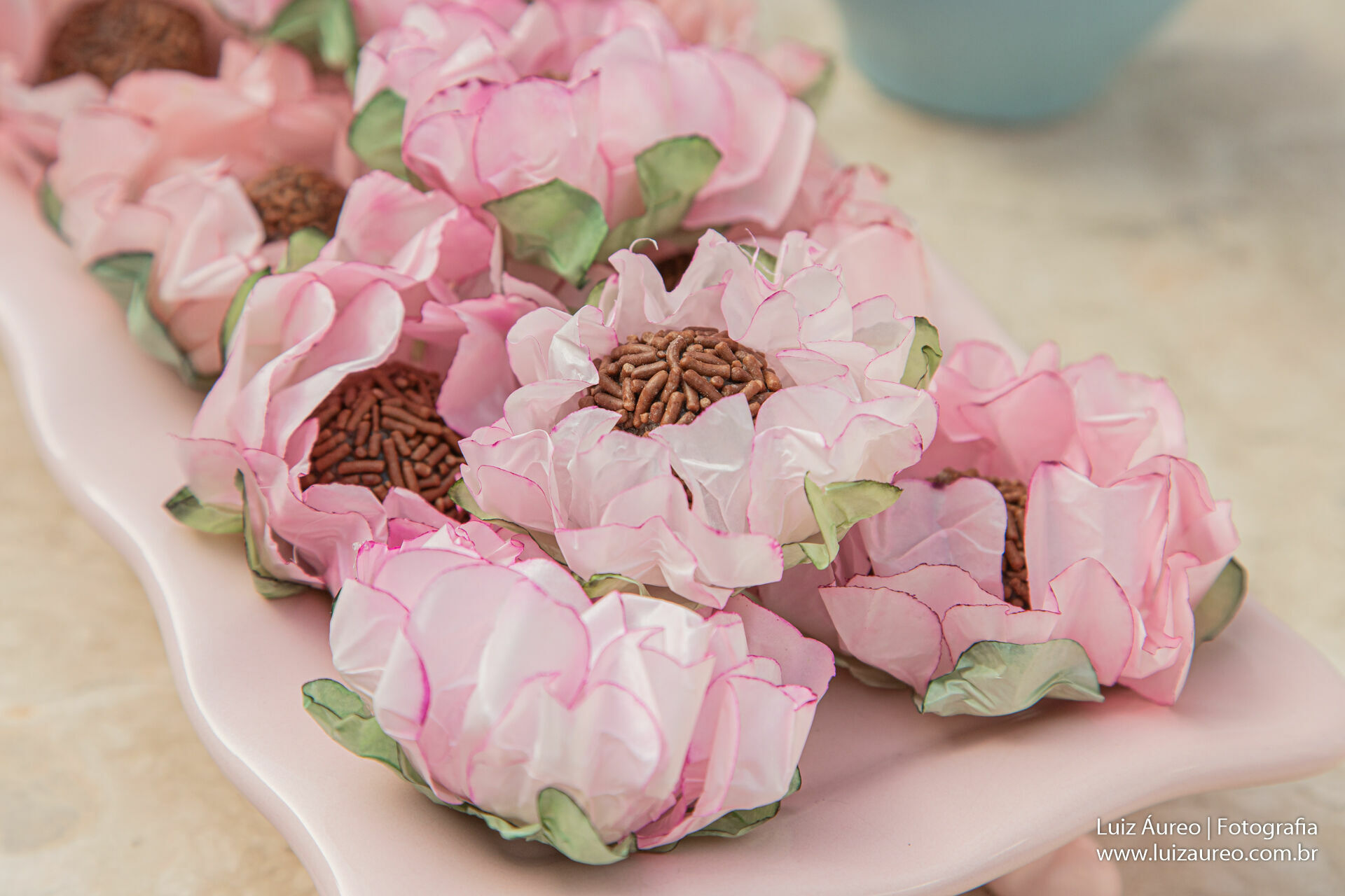 Foto Chá Revelação - Roberta e Bruno - Imagem 20